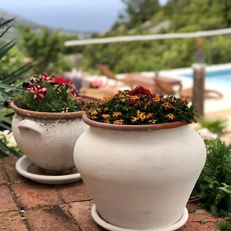 Dolina Hvar * Brusje