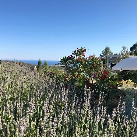 Dolina Hvar Villa *