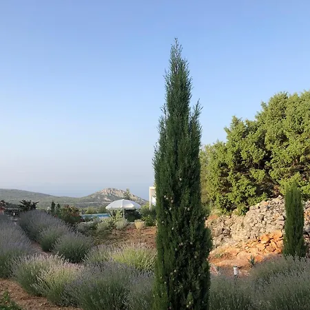 Dolina Hvar
