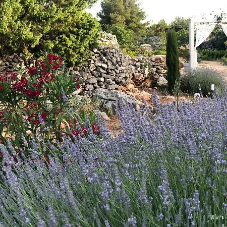 Dolina Hvar Villa Brusje