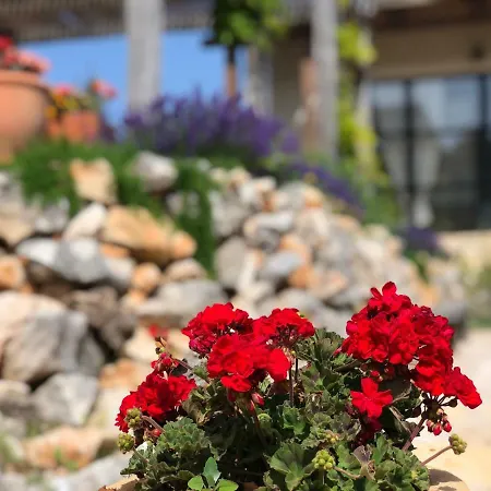 Dolina Hvar *